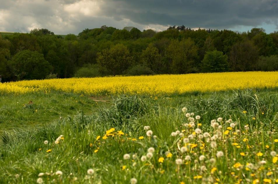 Penzion Na Kopci Vresina Buitenkant foto